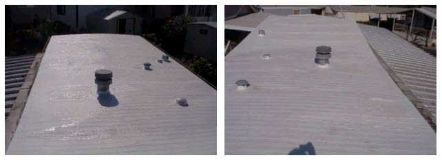 Home Inspection Report - Mobile Home Roof