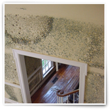 Mold Inspection in Santa Barbara County