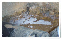 Mold Inspection Calabasas